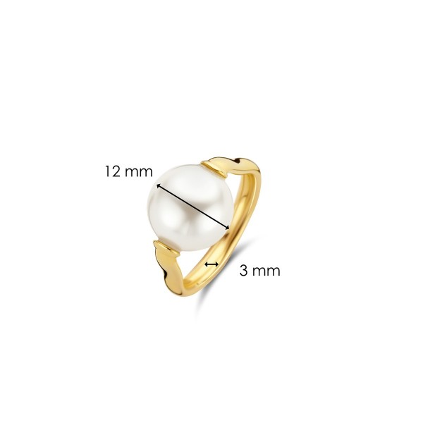 Сребърен дамски пръстен Ti Sento 12231PW