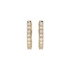 Златни дамски обеци с диаманти 0.32Ct Cara Diamanti K102-10044/2Y/14K
