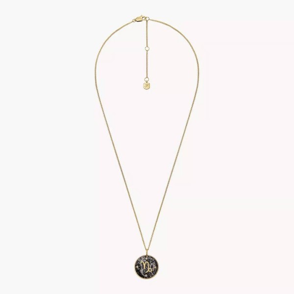 Дамско колие зодия Козирог с хематит Fossil JF04847710
