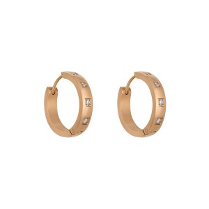 Дамски обеци Daniel Klein DKJ.3.5039-3