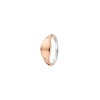 Сребърен дамски пръстен Ti Sento 12223SR