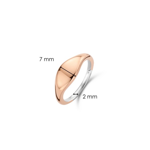 Сребърен дамски пръстен Ti Sento 12223SR