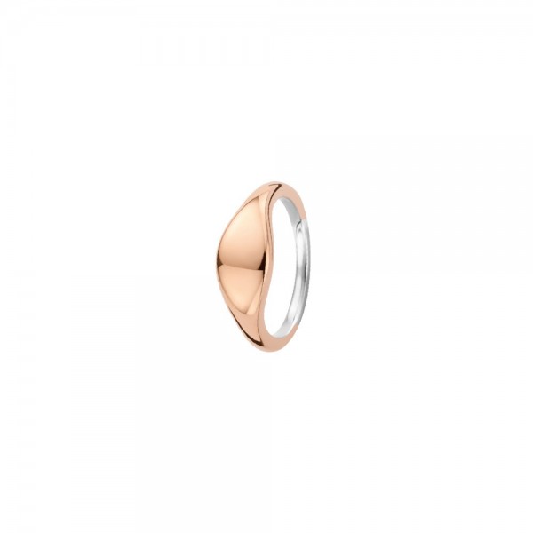 Сребърен дамски пръстен Ti Sento 12223SR