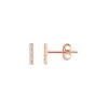 Златни дамски обеци Blush 7196RZI