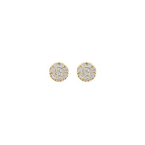 Дамски златни обеци Blush 7396YZI