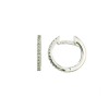 Дамски златни обеци с диаманти Cara Diamanti BB0405W