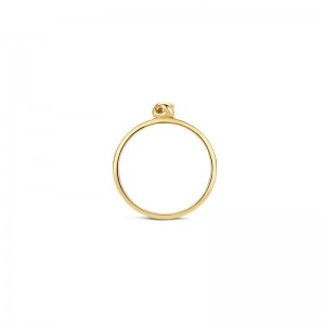 Дамски златен пръстен Blush 1193YGO